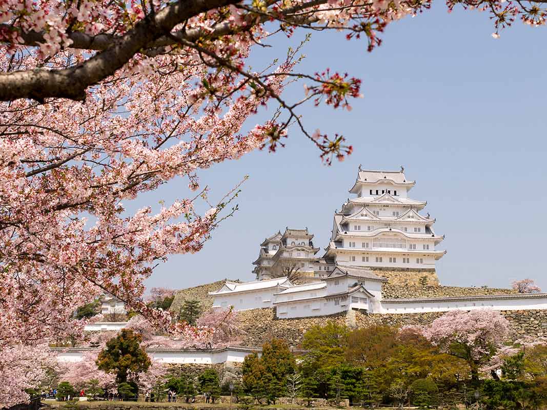 Chateau Himeji