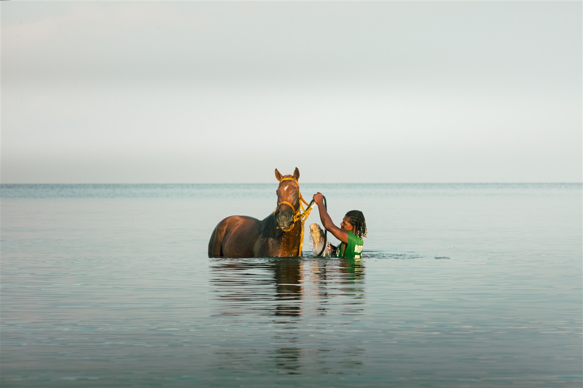 cheval dans l eau a Providencia