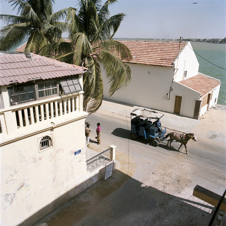 cheval dans les rues de Saint Louis du Sénégal