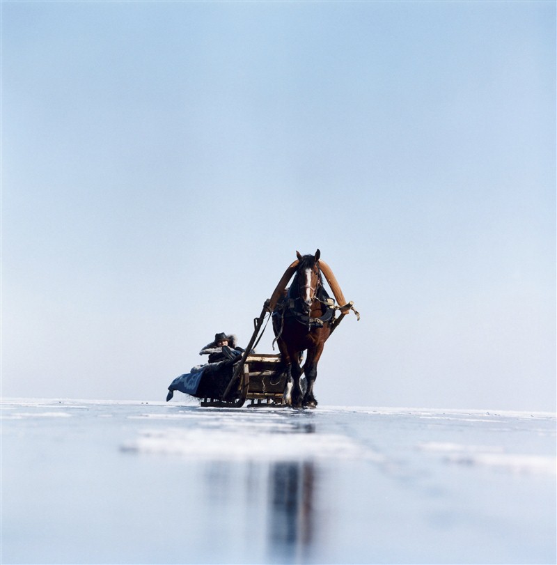 cheval sur le Lac Baïkal