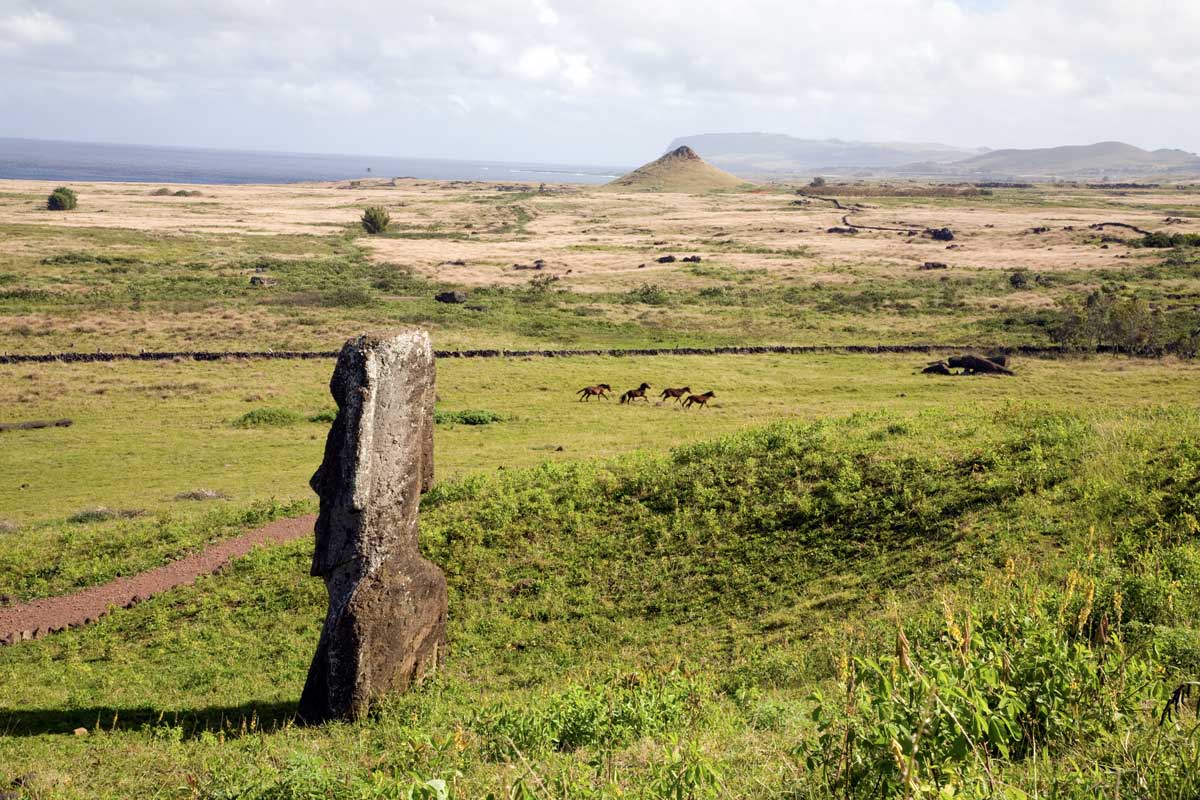 chevaux et statues sur l'Île de Pâques