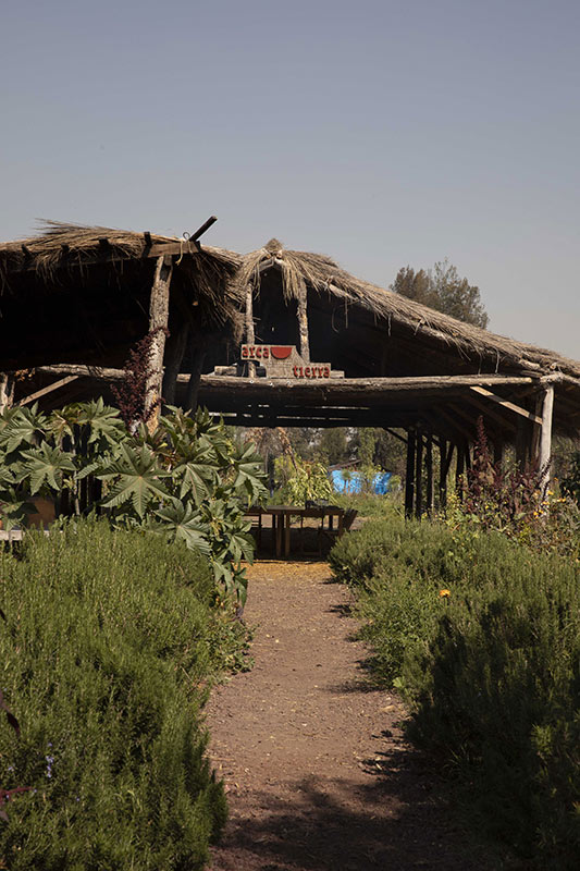 chinampas