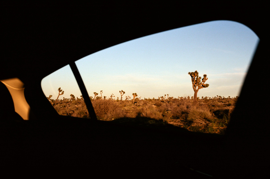 Desert de Mojave