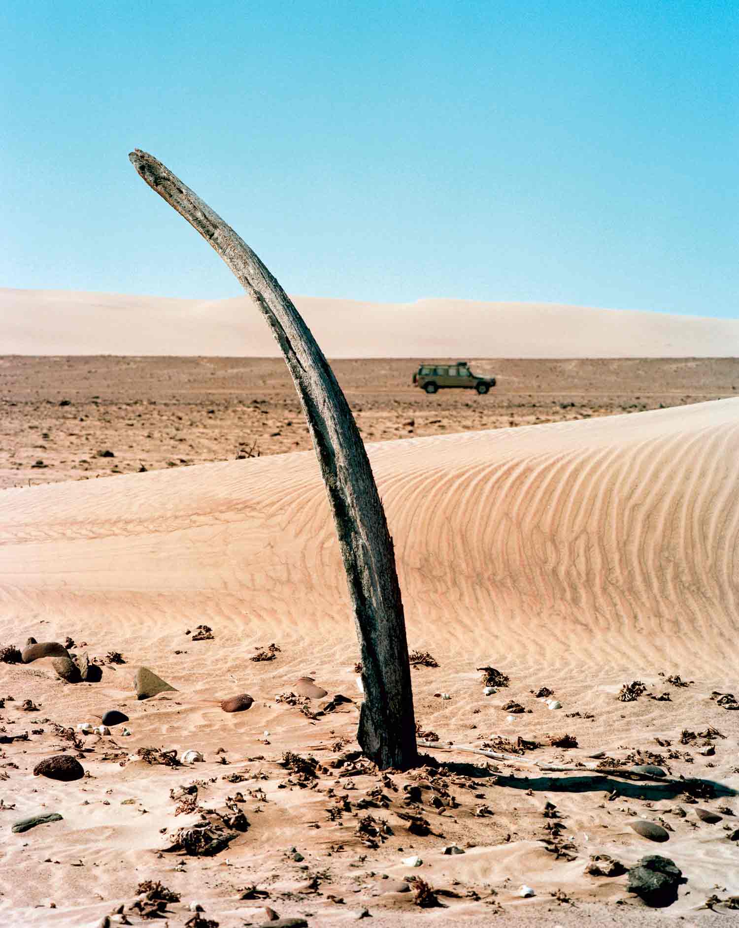 Parc National d'Etosha