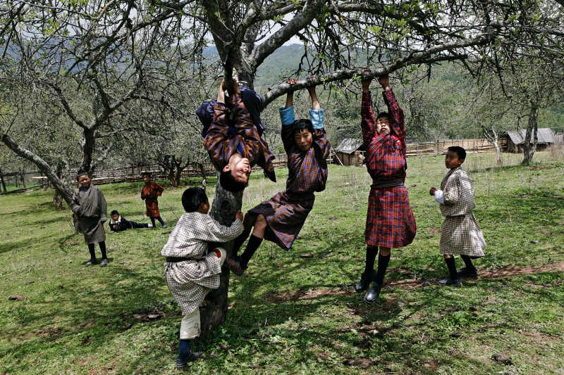 Enfants autours d'un arbre au Bhoutan