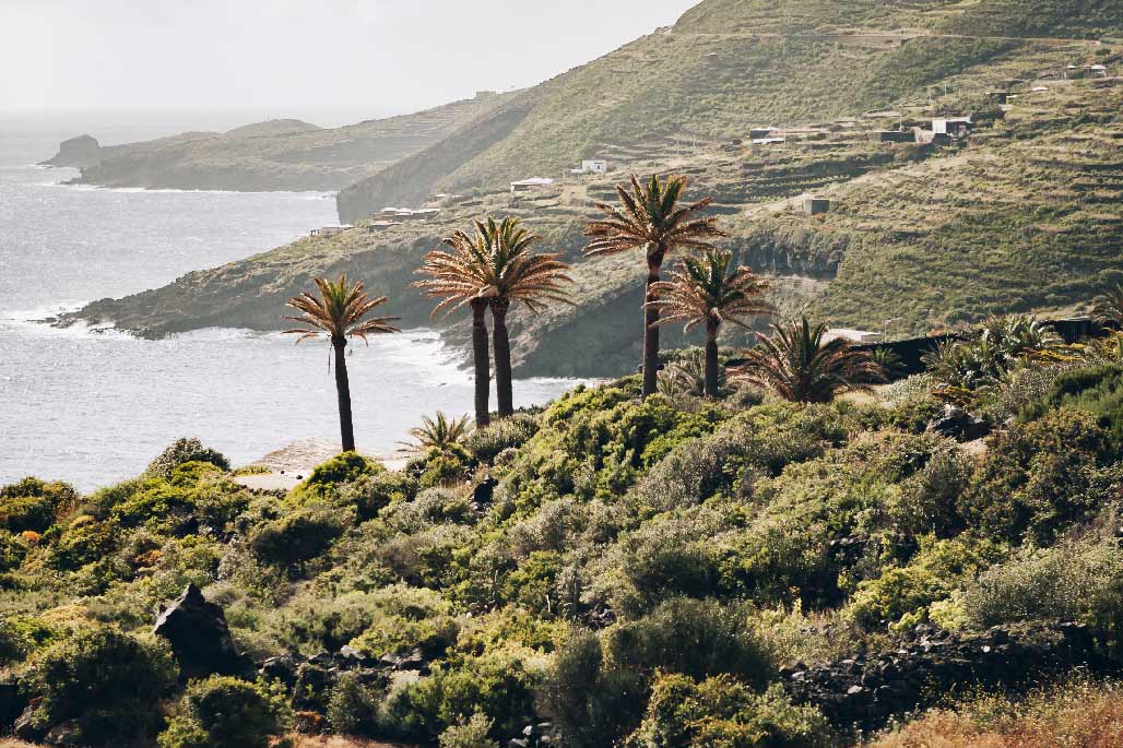 paysage de Pantelleria