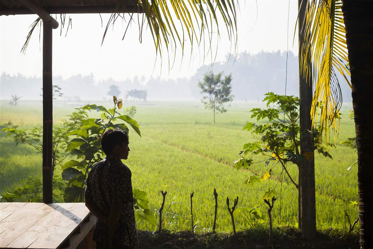 Homme dans un champ à Bali