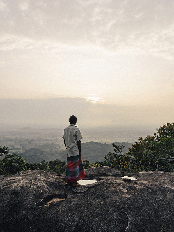 Paysage du Sri Lanka