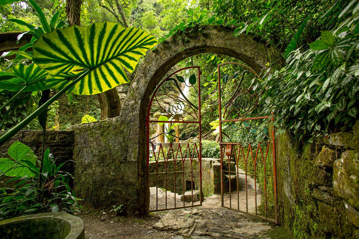 Jardin Las Pozas