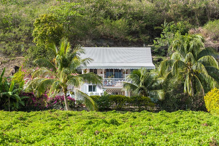 jolie maison dans la foret de Polynésie