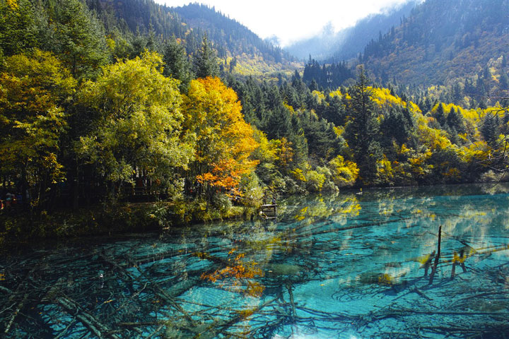 Le lac des cinq fleurs dans la vallée de Jiuzhaigou