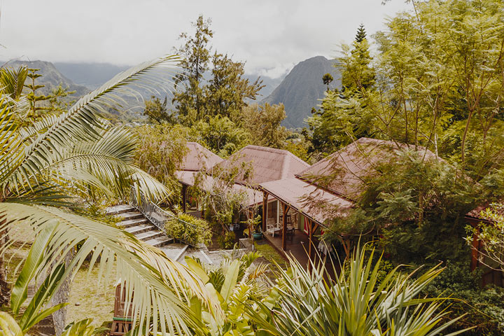 Jungle de La Réunion