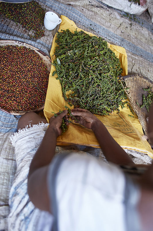 épices à Madagascar