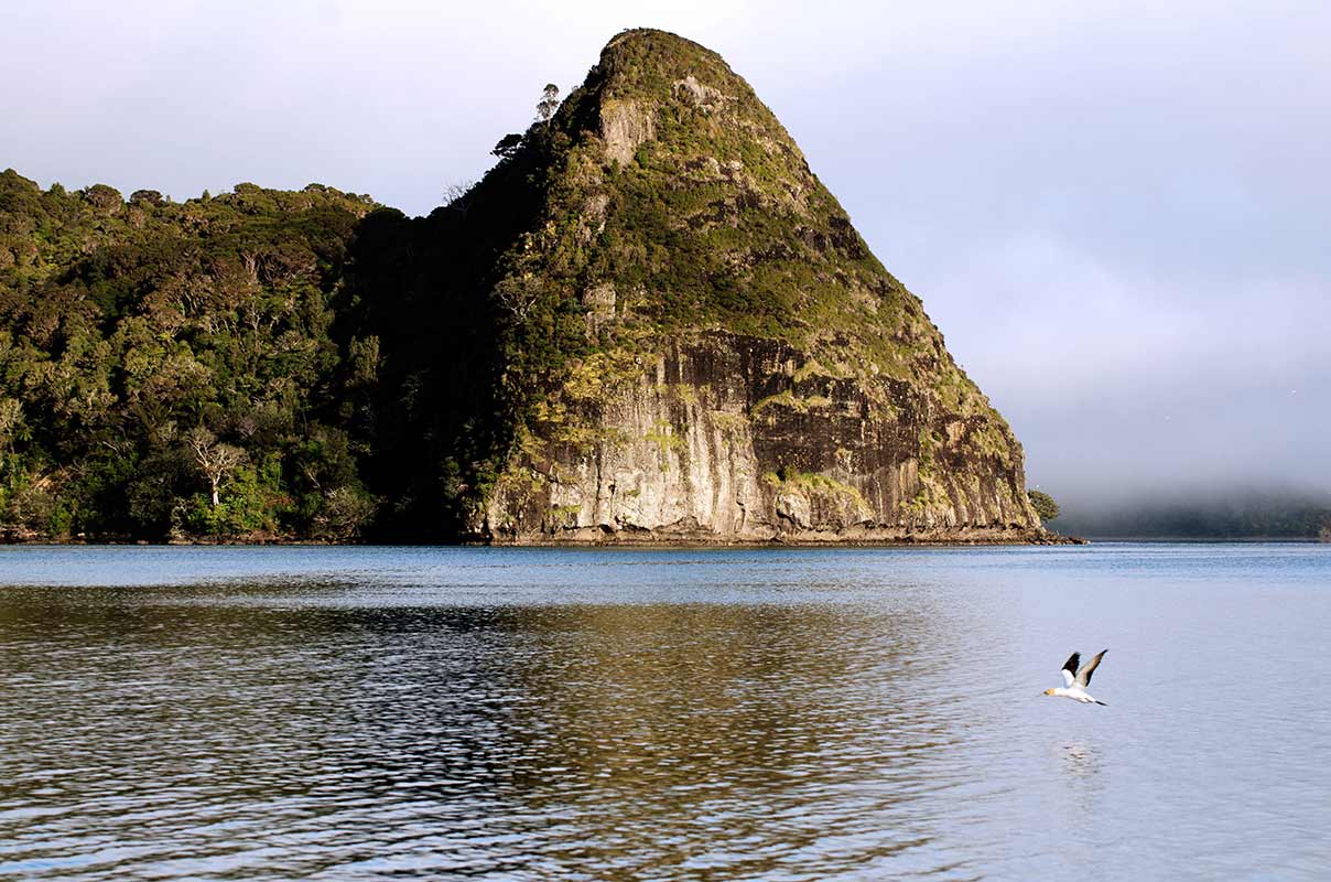 Montagne et mer en Nouvelle-Zélande