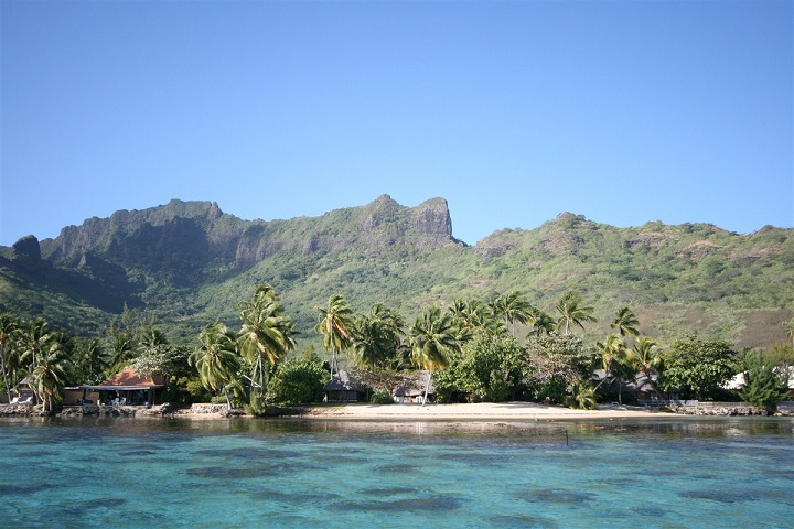 Plage et foret à Moorea