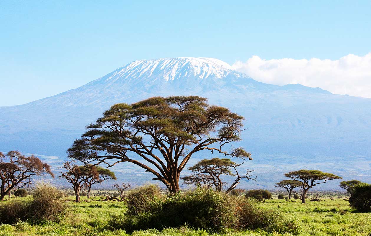 Réserve du Mont Kenya 