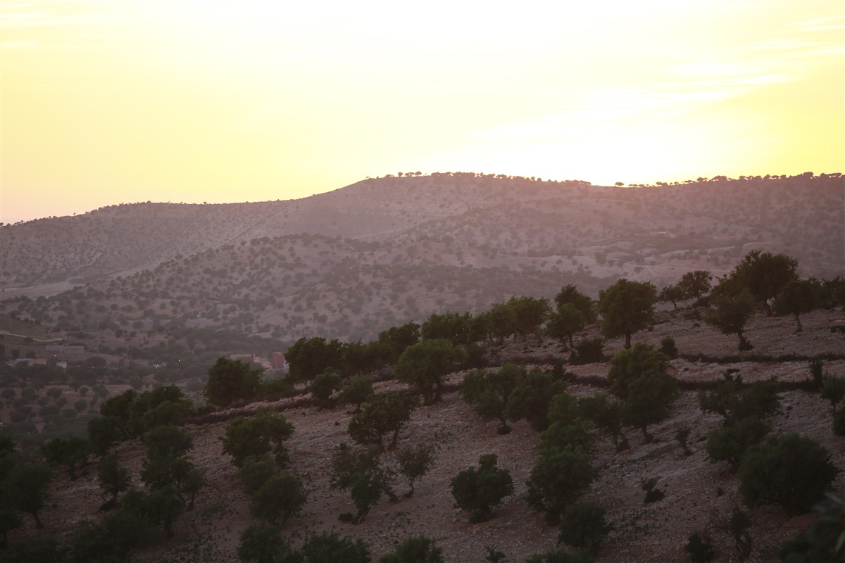 desert marocain