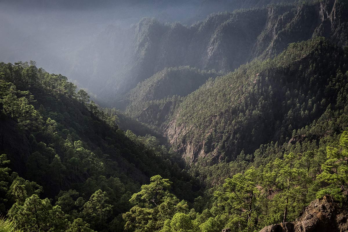 Montagne de La Palma