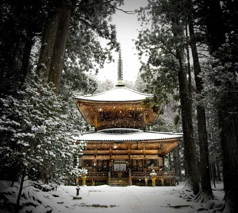 Palais japonais sous la neige en hiver