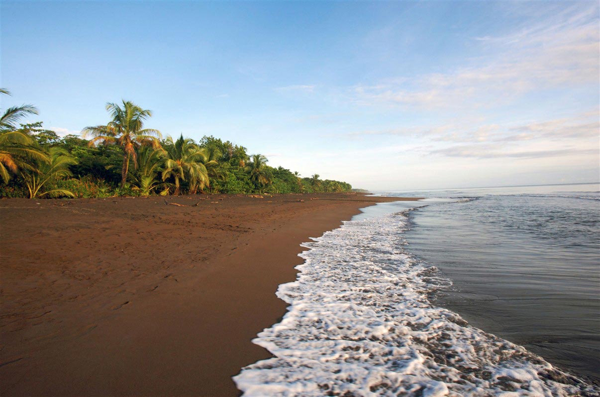 Parc National de Tortuguero