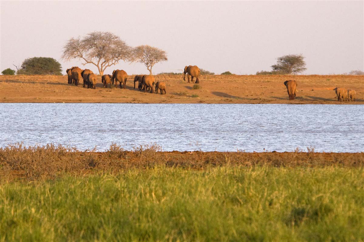 Parc National Kenya