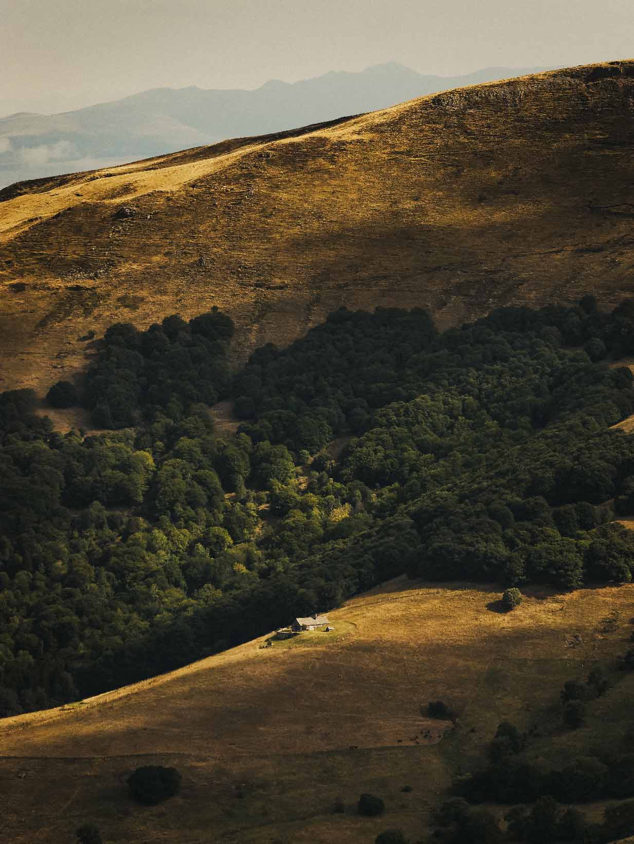 paysage du Cantal