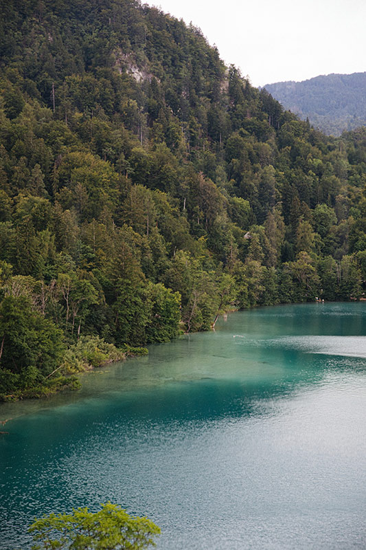 Paysage du lac de Bled