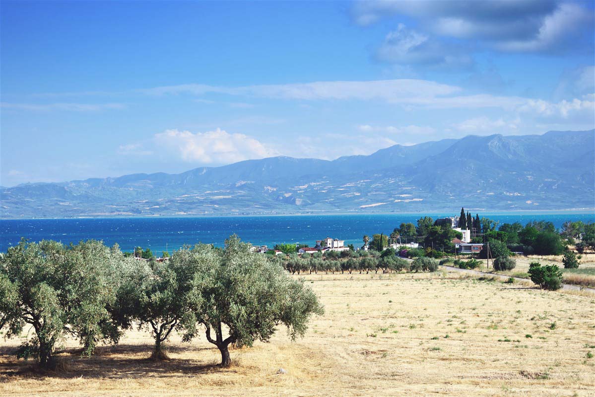 Paysage du Peloponnèse