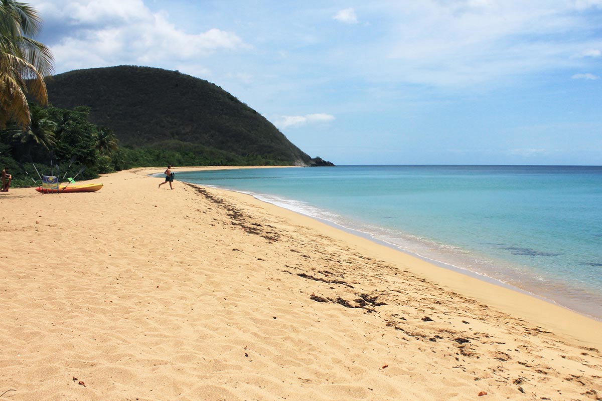 Plage de Guadeloupe