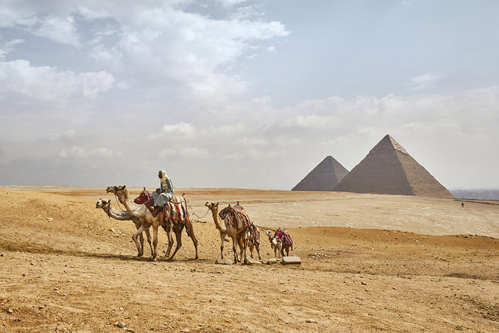 dromadaires et pyramides d’Égypte