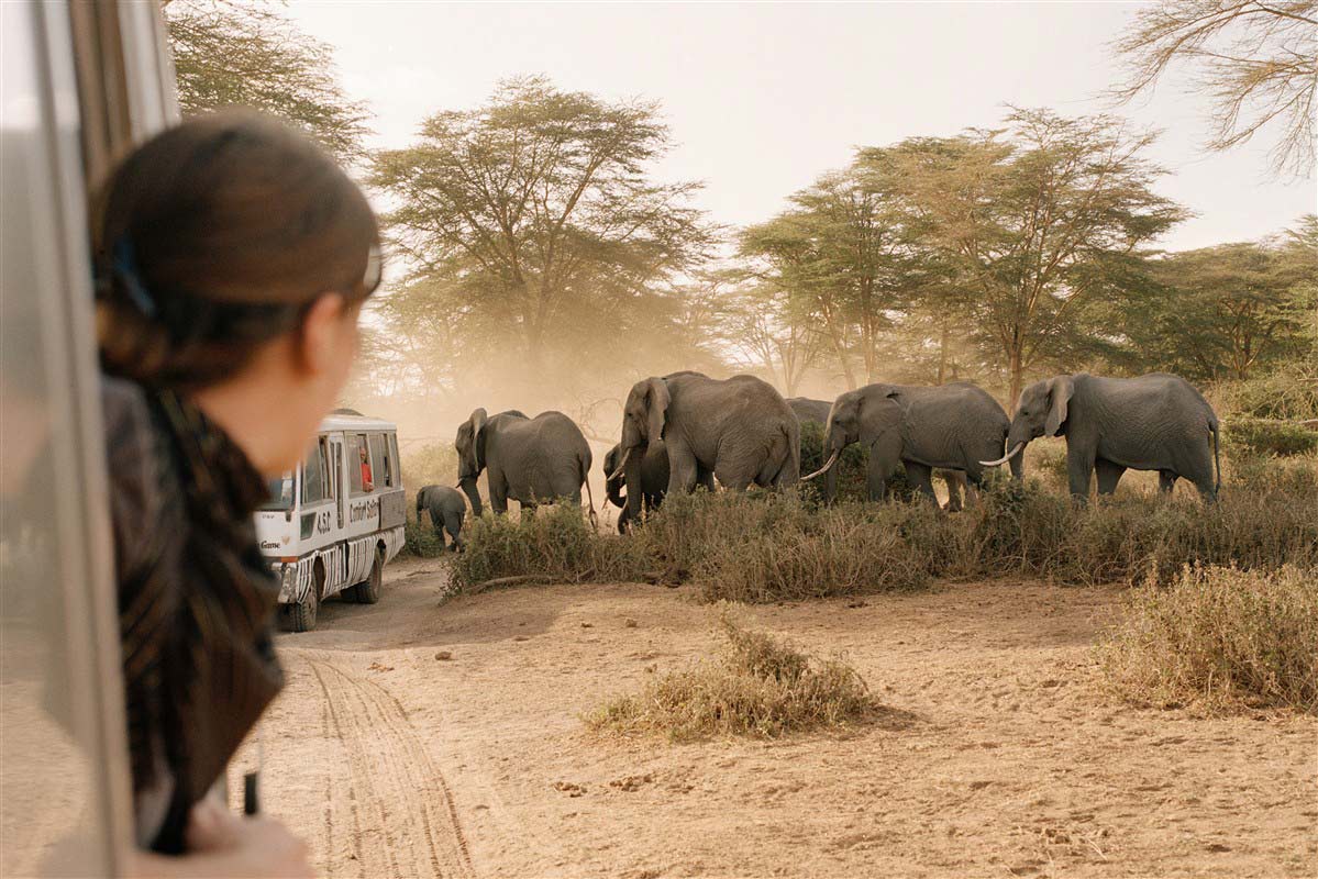 safari au Kenya 