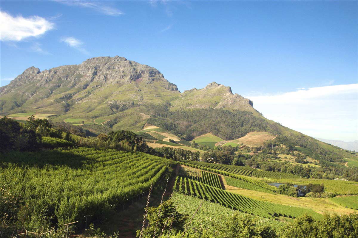 région viticole de Stellenbosch Afrique du Sud