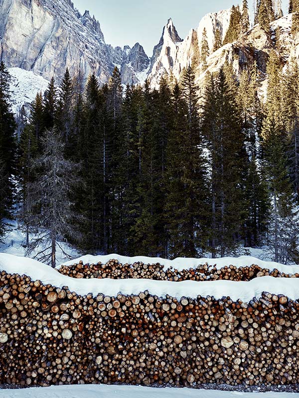 Pile de bois dans les Dolomites