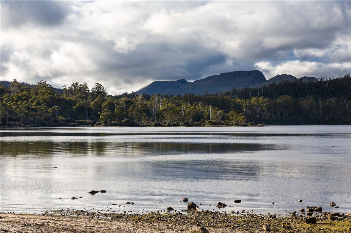 Tasman Highway