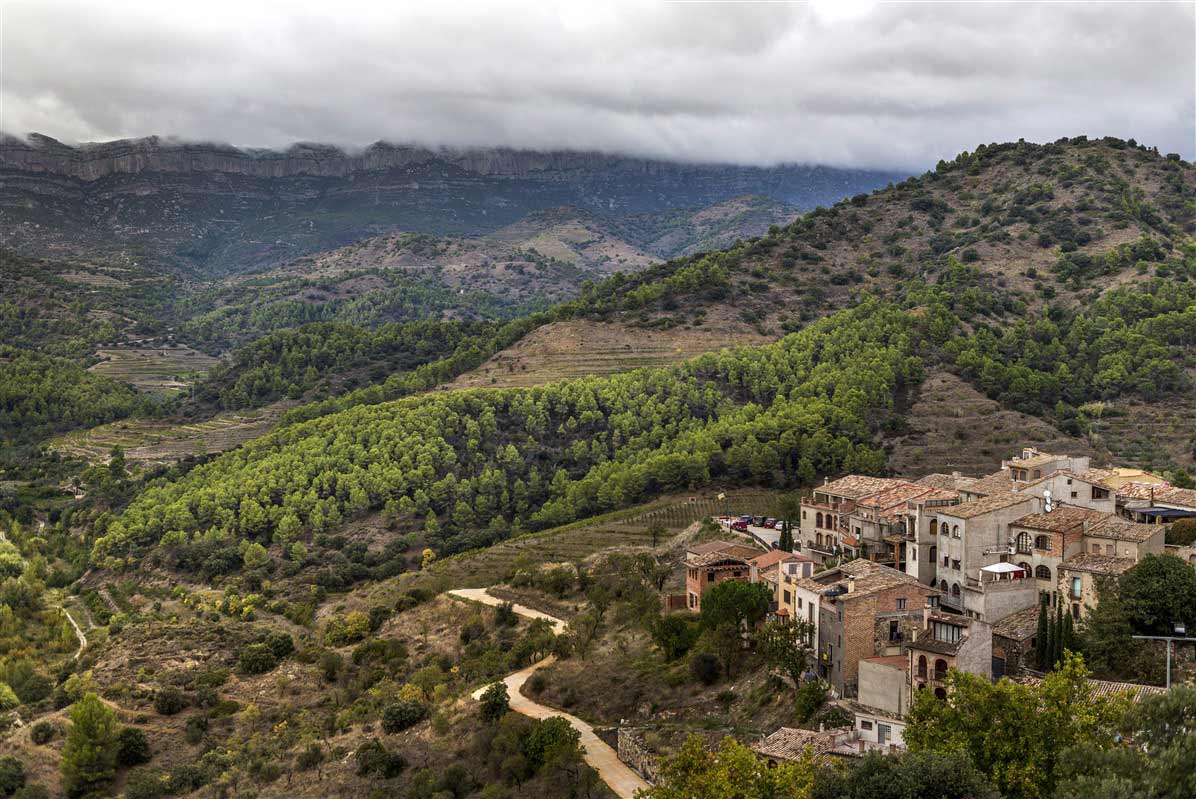 Région viticole de Catalogne