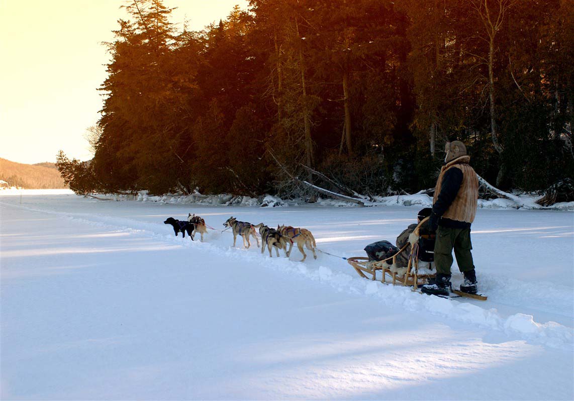 Traîneau à chiens