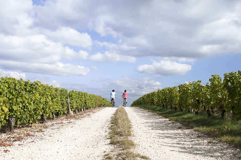 vignoble du Val de Loire