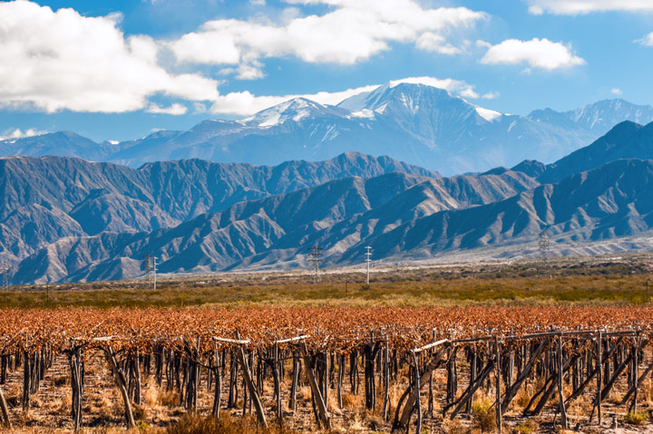 Vignobles de Mendoza