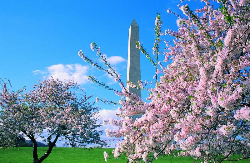 Washington Monument