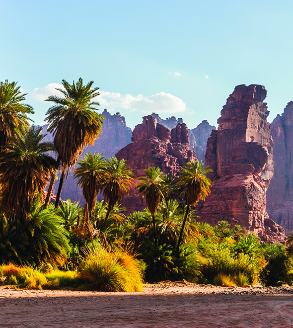 Arabie saoudite : l’appel des wadis, entre roche et mirage