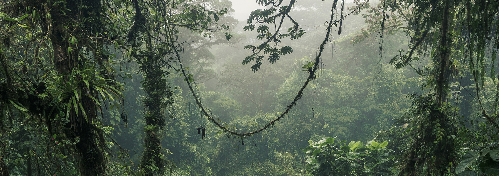 Le safari : moins spectaculaire, plus sensible