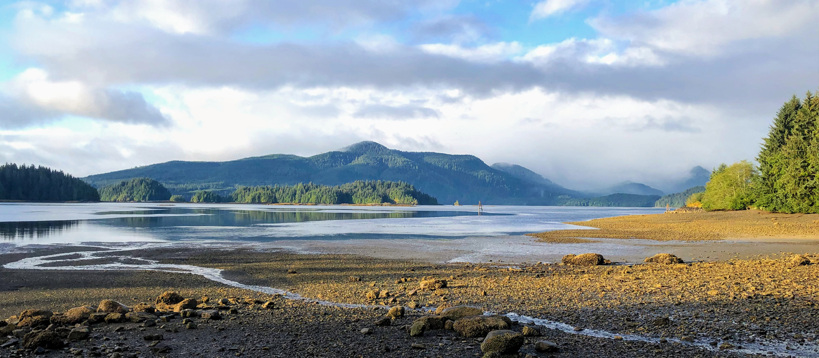 Mystérieuses Haïda Gwaii
