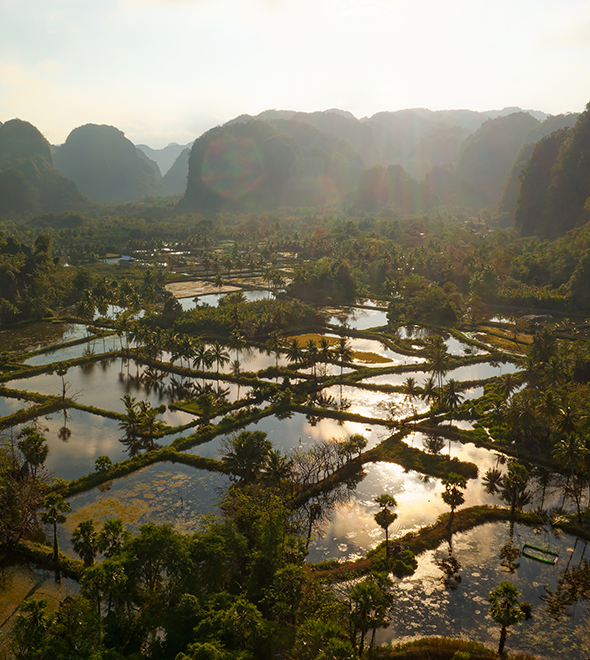 Sulawesi : des rites toraja aux premières images de l’humanité