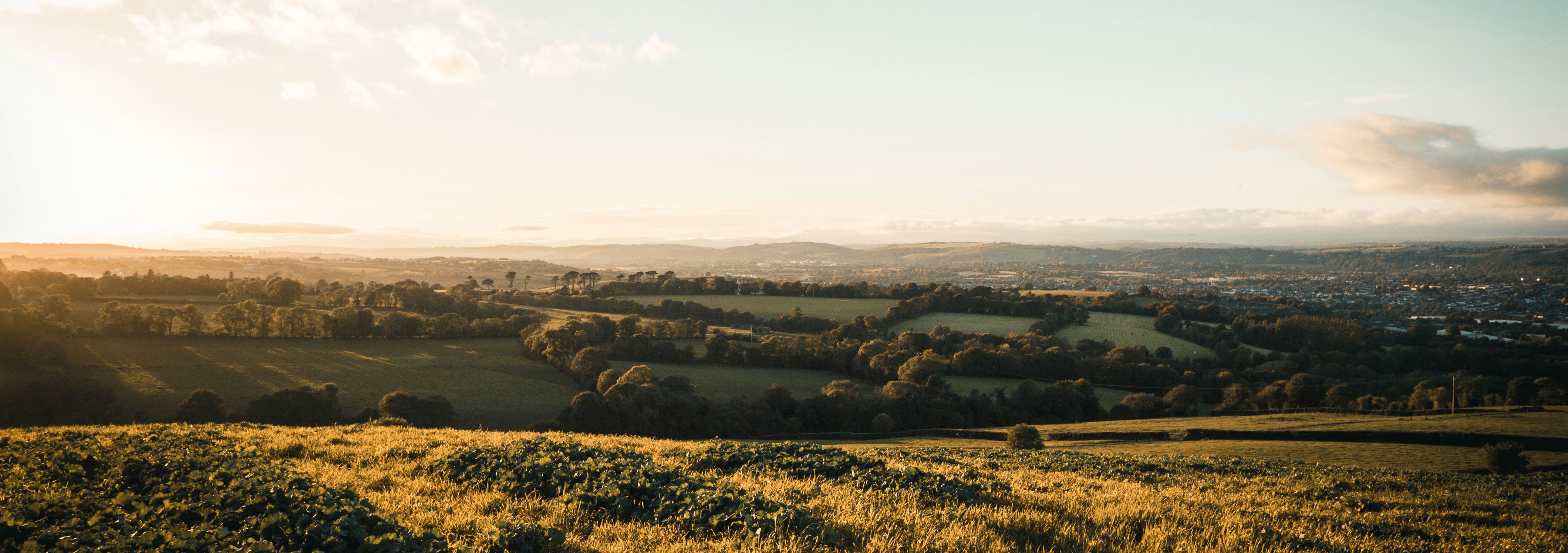 Le comté de Cork, un terroir irlandais gastronomique