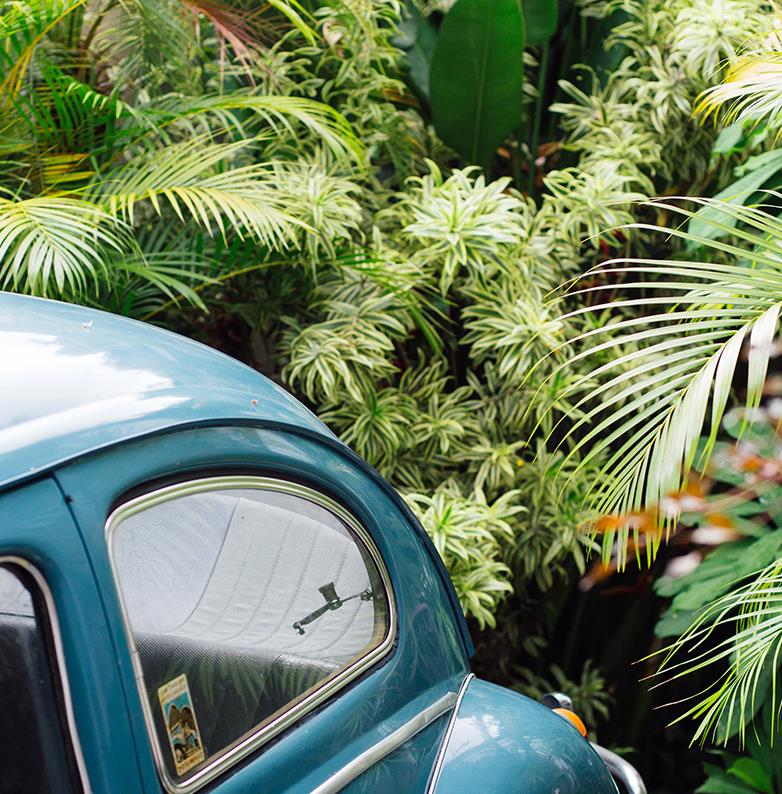 Focus sur Rio de Janeiro