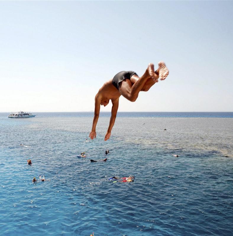 Alexandrie cosmopolite