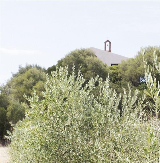 Sardaigne, l'île étendard