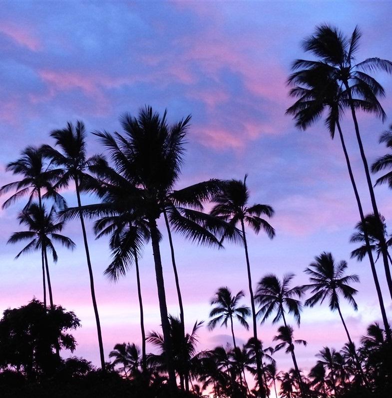 Hawaï, exquises Sandwich