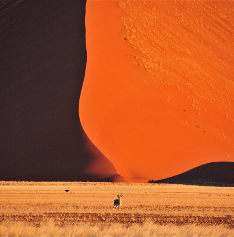 Les déserts les plus spectaculaires