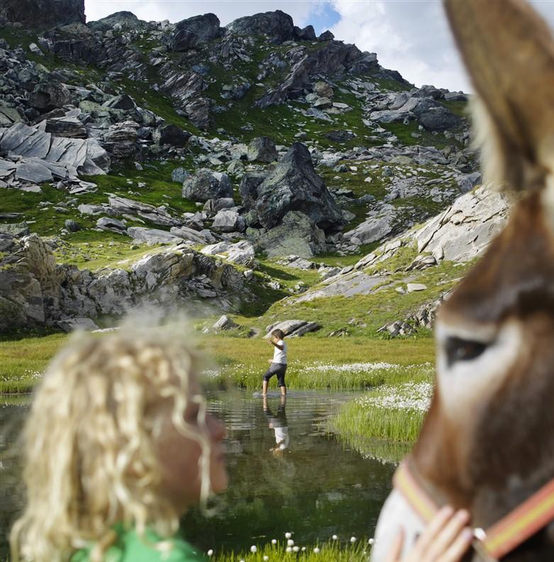 Profiter des vacances pour se déconnecter